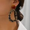 Exaggerated Drop Earrings Resin Waterdrop Pendant Fashion Leopard Print Earrings  Ear Jewelry