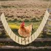 Chicken Swing Wooden Bird Standing Perch Heavy Duty Enrichment Toys Boredom-Relief Chicken Coop Accessories For Rooster Parrot