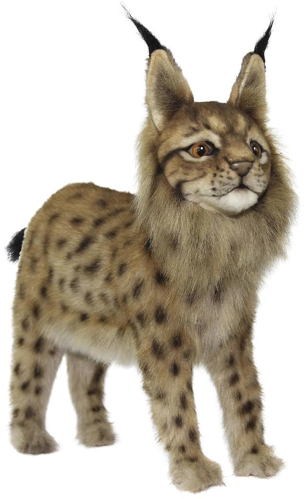 HANSA BH8070 Eurasian Lynx 33cm