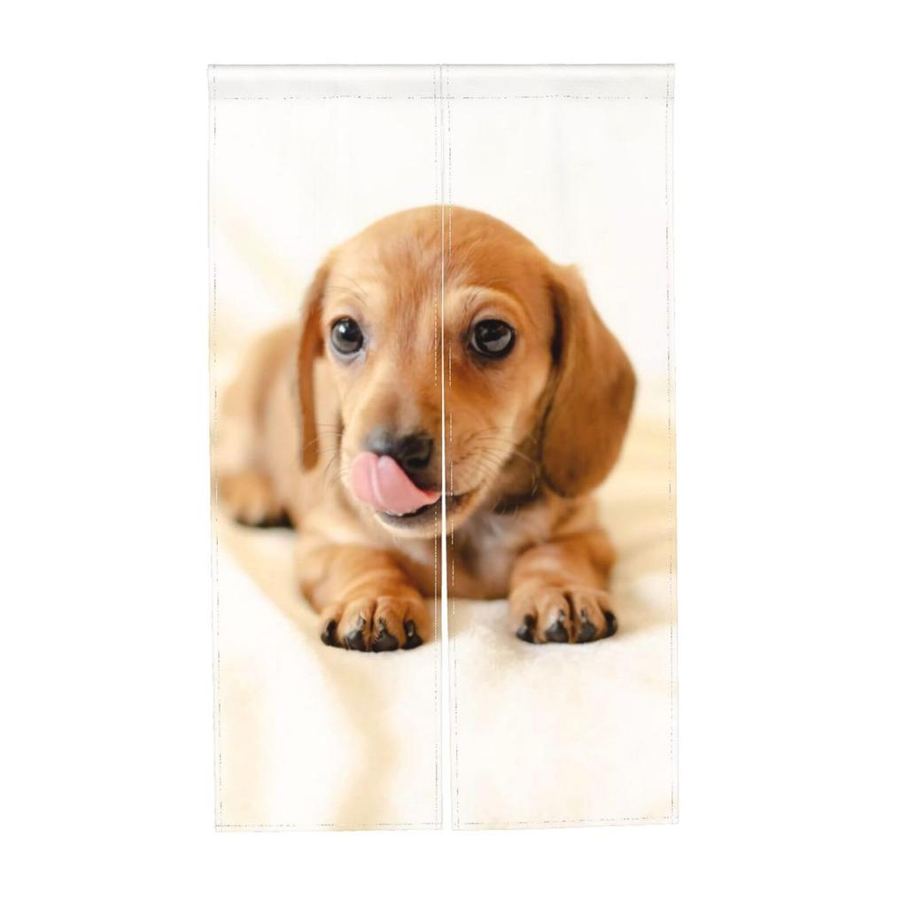 Stylový závěs Noren s miniaturním jezevčíkem. Ideální do obývacího pokoje a dalších 86cm x snadno použitelné štěně. soukromí, vstupy, kuchyně, pokoje,