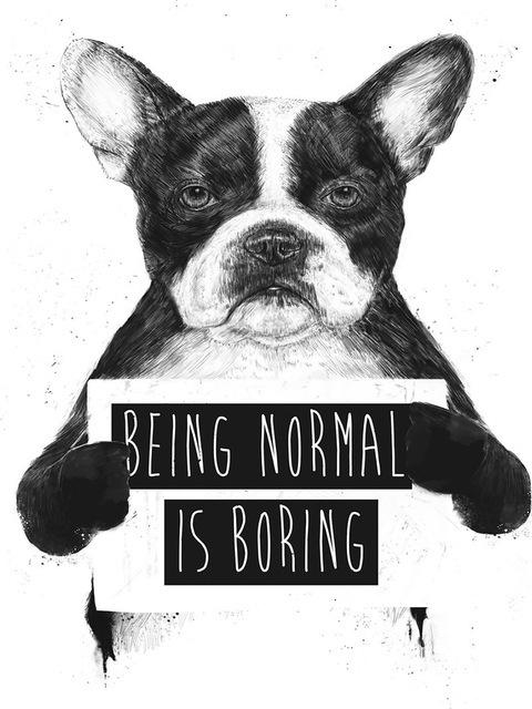 

Печать на холсте с изображением животных Вдохновляющие слова Быть нормальным — скучно Плакат и картина Черно-белая картина для гостиной и спальни Без рамки 21*30cm No Frame