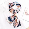 Thin and Narrow Long Small Silk Scarves Women's Foreign Style Fashionable and Versatile Sunscreen Silk Scarves Spring and Summer Scarves Scarves