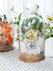 Preserved Flower Glass Dome DIY Kit for Handmade Decoration and Gifts