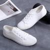 Fashion Unisex White Canvas Shoes Summer Casual Student Sports Shoes Lace-up Plaid Flat Shoes