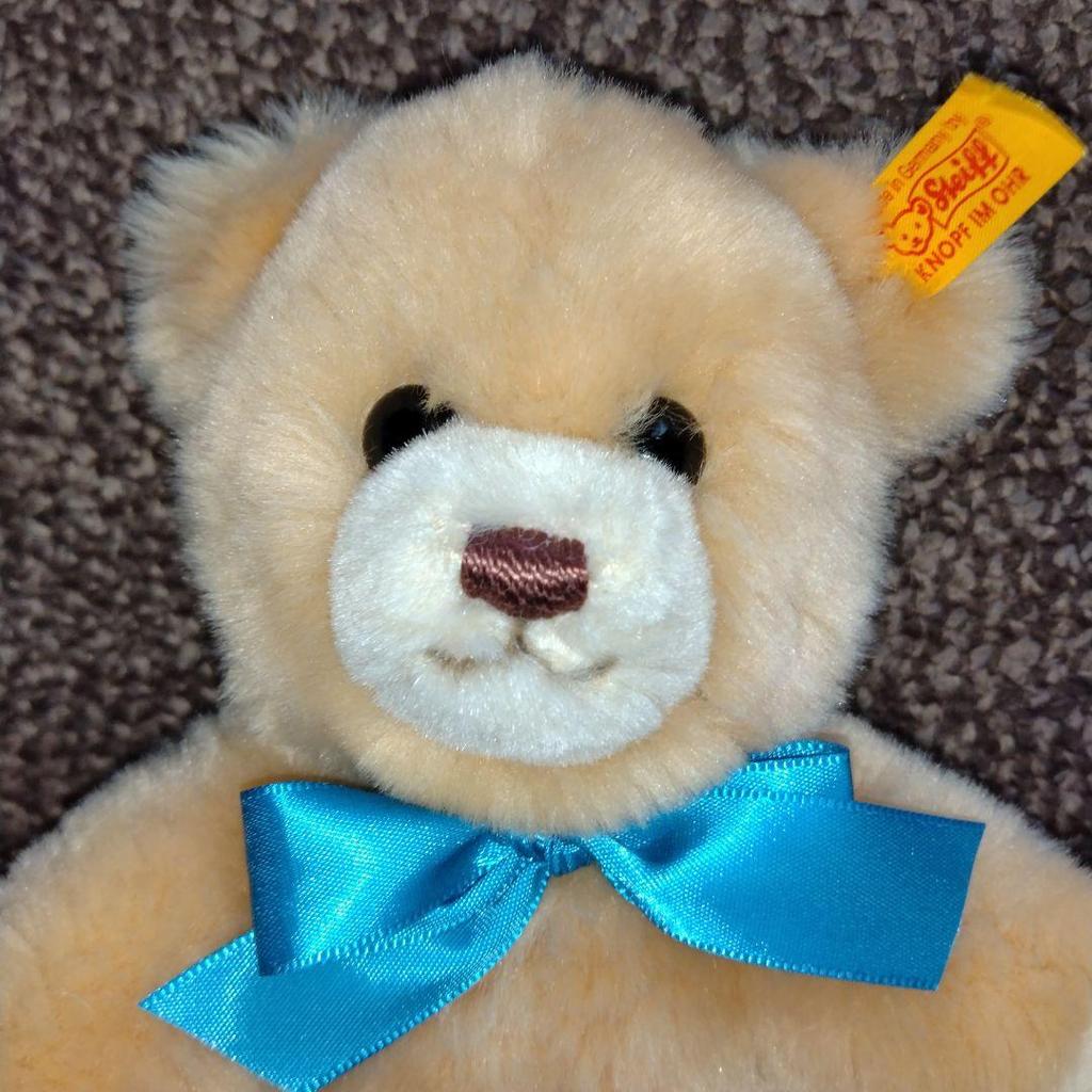 [GEBRAUCHT] Steiff Molly Plüsch Teddybär, 23cm