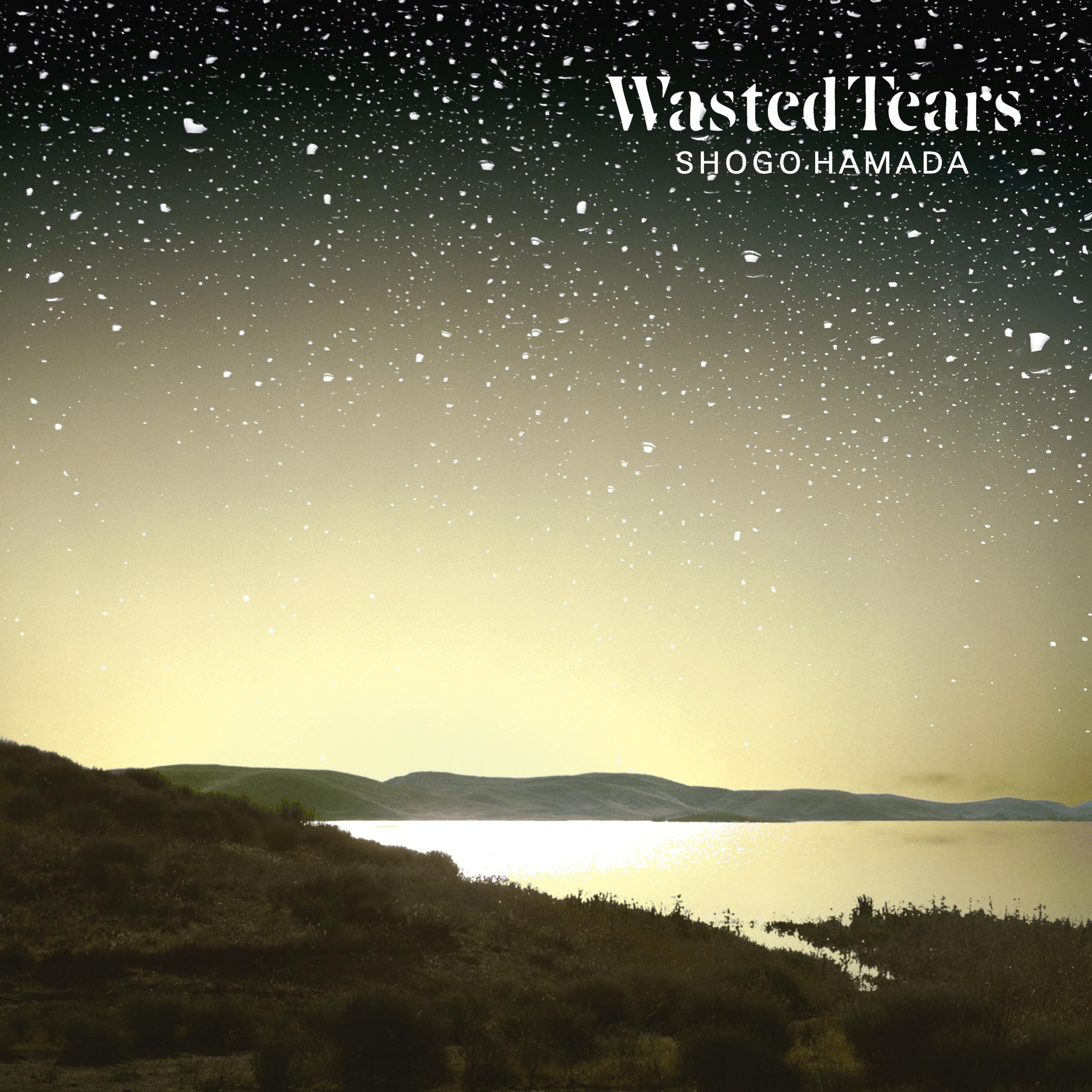 

WASTED TEARS Shogo Hamada Bonus (Limited Edition) (Analog Record) - (No Items) [Analog]
