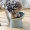 Cat Food Bowl Elevated Tilted Raised Easy To Clean Pets Feeder Water Bowl for Small Dogs
