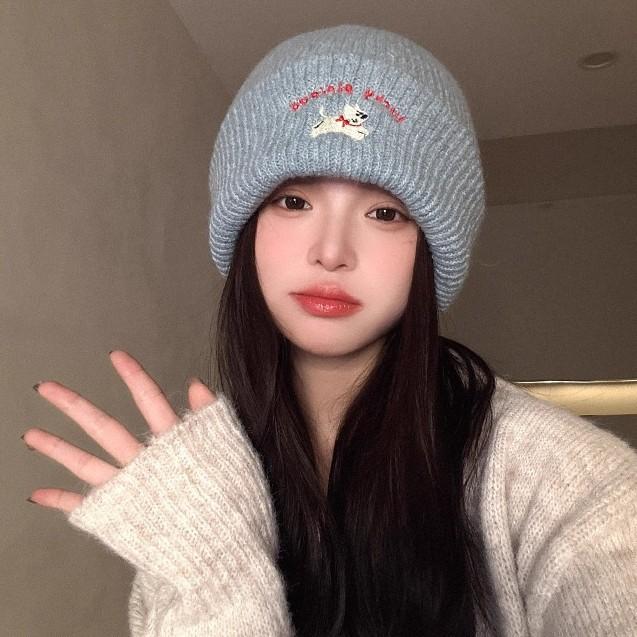 Cute puppy embroidered knitted hat female 2025 season wool hat showing small face big head circumference cold hat white