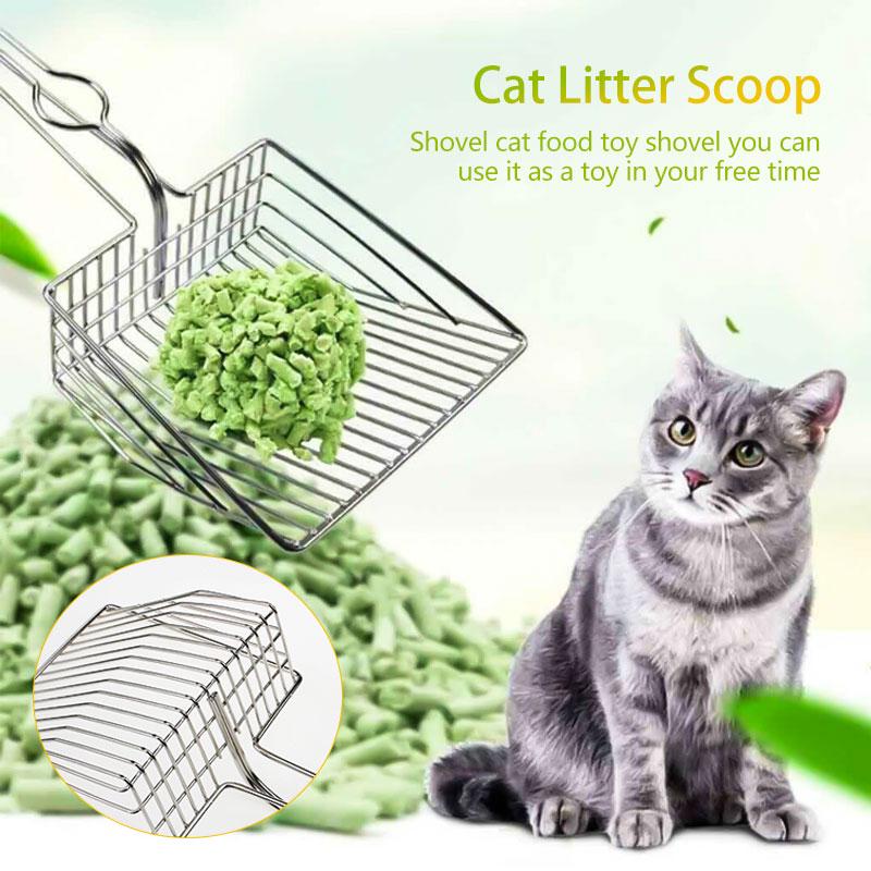 can i use cat litter for my dog