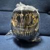 [USED] "Final Fantasy XIV" Limit Break Version Hissho Daruma & Namazu