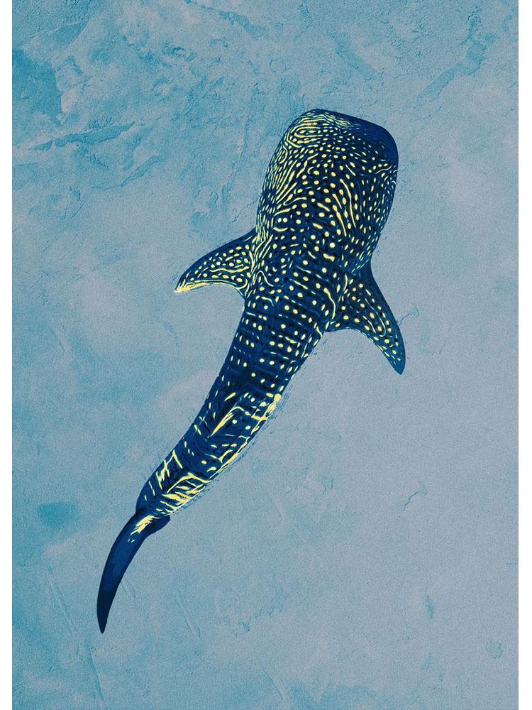 Obři severského oceánu Plakáty Žralok velryba Obraz Mořský život Nástěnná umělecká reprodukce do obývacího pokoje Domácí dekorace Cuadros