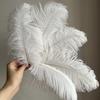 10Pcs Ostrich Feathers White Feather Wedding Decorations Carnival Handicraft DIY Crafts Feathers for Home Decor