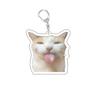 Funny Cat Memes Series Keychain Student Gift Bag Lanyard  Women's Bag Pendant Keychain Cute Things Cheap Gift for Best Friends