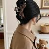 Elegant 2025 Retro Gold Shark Hair Claw Clip for Women