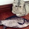 Fish Pencil Case Fish Coin Purse Pencil Case Adorable & Cute Pencil Pouch For School Classroom Supplies Kids Teens Gifts