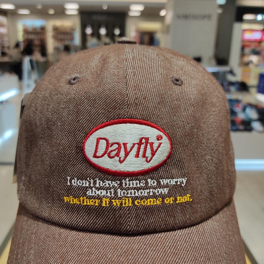 Black Reclusive Dayfly Ball Cap BKC5UCW006