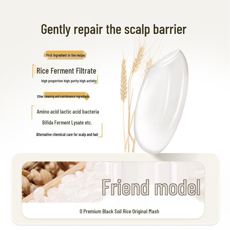 ASAKA Rice Ferment Scalp Care Oil Control Volumizing Shampoo