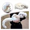 Falkor Dalla Storia Infinita Peluche Drago Fortunato Giocattolo Imbottitura in Cotone PP Decorazione per la Casa Regalo per Bambini
