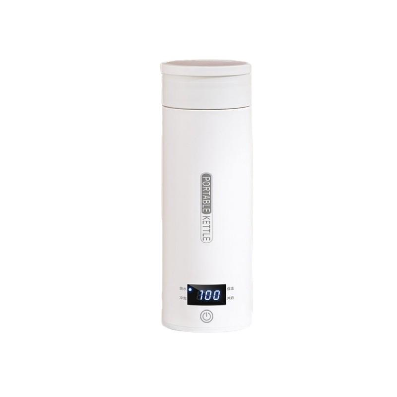 Portable Electric Kettle - 110V US, UK, EU Standards