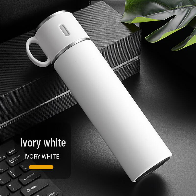 MRSIKEY 316 Stainless Steel Insulated Portable Water Bottle