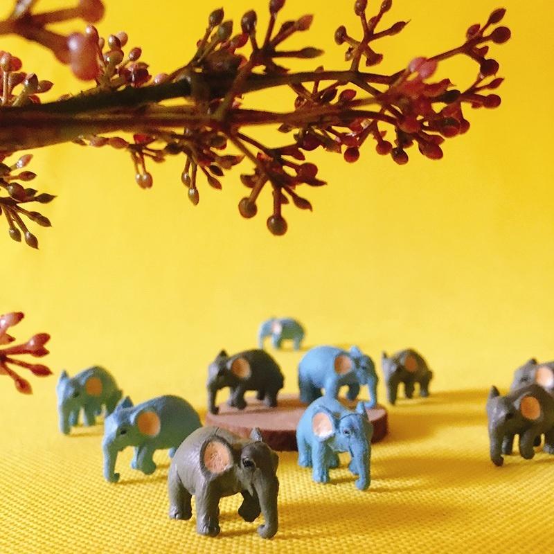 10 bucăți/set miniaturi animale elefanți drăguț grădină terariu figurină acasă desktop decor birou ornament