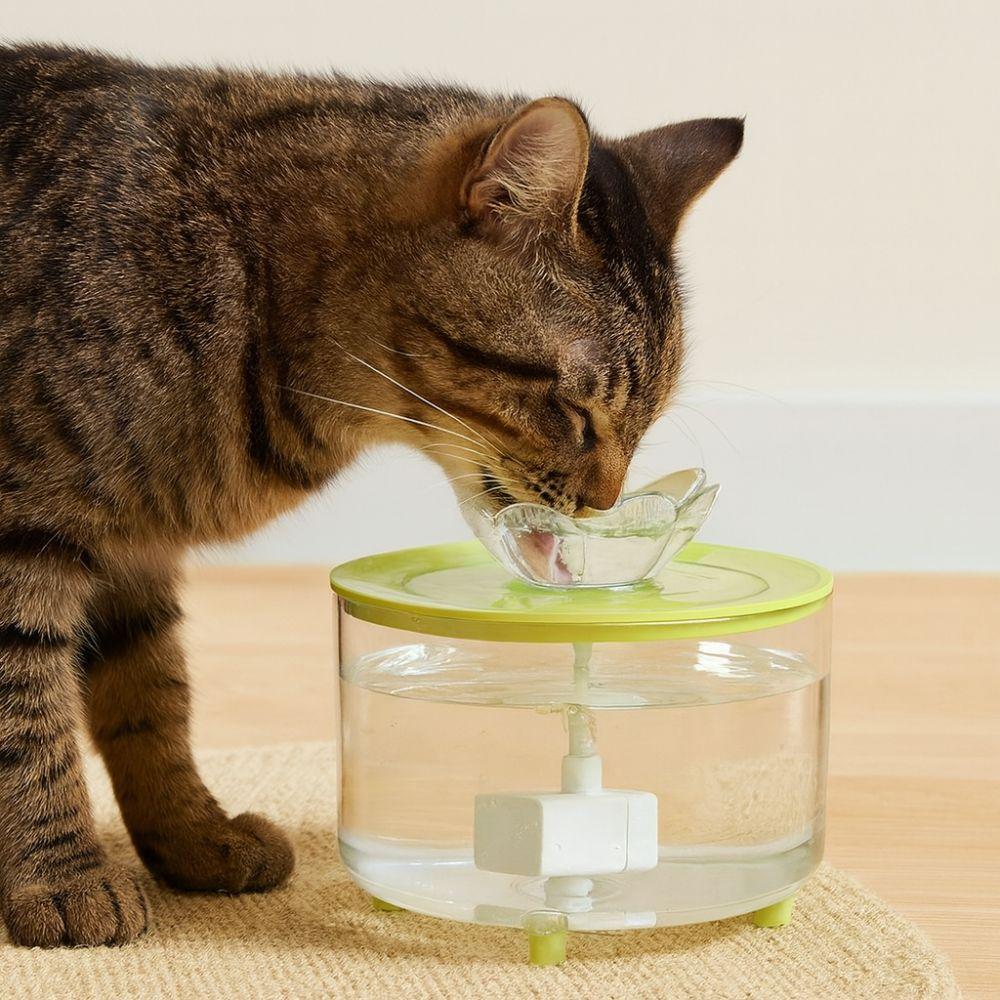 Electric Cat Water Fountain USB Powered Pet Drinking Fountain Cat Drink Bowl  Water Filter