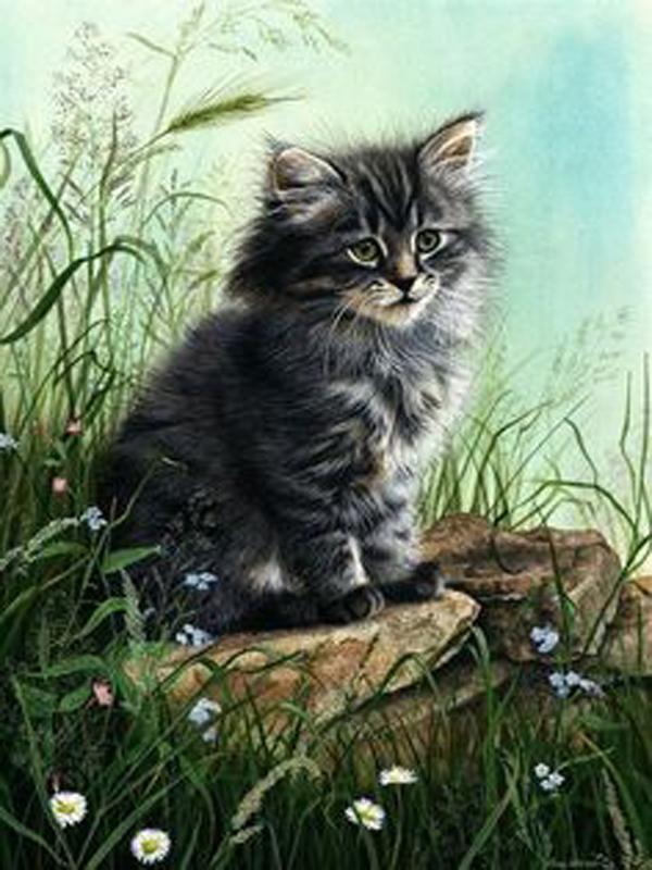 Nový příchod Diamantová malba Zvířátka Křížkový steh Plný kulatý vrták Kočka Diamantové vyšívání Prodej Domácí dekorace Obrázek