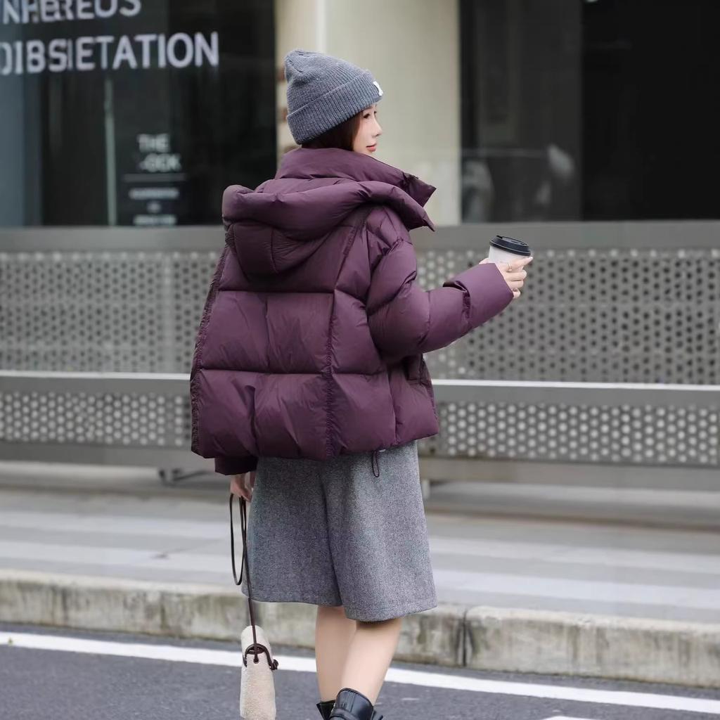 Trendy brand chick European white duck down hooded short down jacket women's winter new small versatile jacket