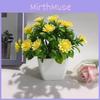 Artificial Daisy Green Plant Decor With Plastic Construction For Home And Office
