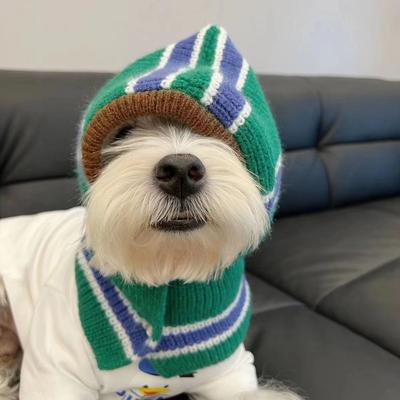 Bufanda con capucha para perro, capa cálida de invierno, osos de peluche, Schnauzer, babero de lana pequeño, sombreros para perros, accesorios para cachorros, otoño e invierno
