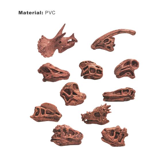 11Pcs/Set Dinosaur Fossil Model High Simulation Hand-painted Vivid Carnotaurus Dinosaur Skull Fossil Figurine for Kids