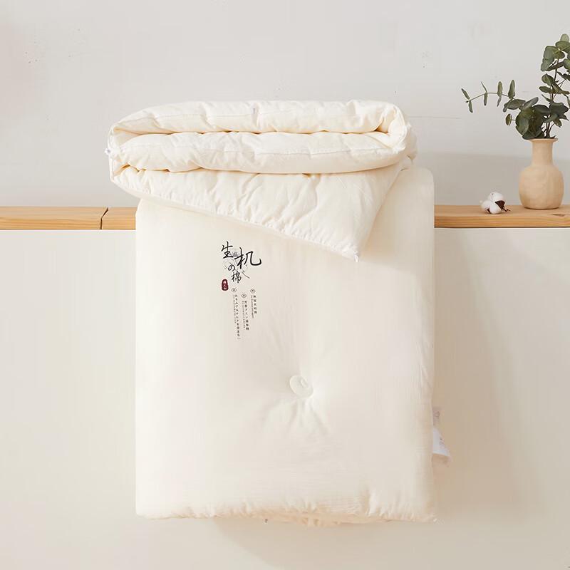 Chans Organic Cotton Soy Fiber Quilt