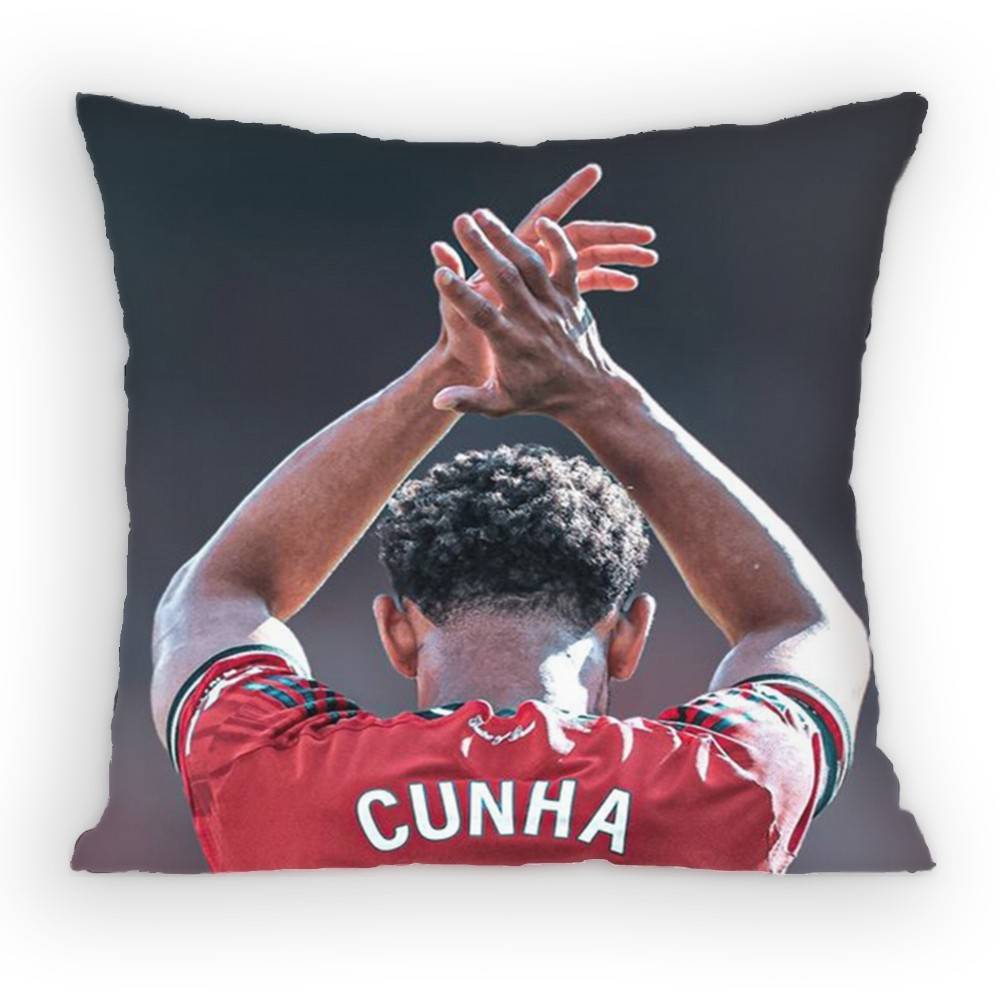 Matheus Cunha Pillow Case Antidustmite Pillowcase Invisible zipper silky Sofa cushion cover for bedroom
