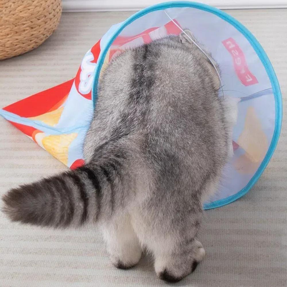 Indoor Cat Drill Bag Foldable Paper Tunnel Bag Fun Pet Tunnel Toys for Cat