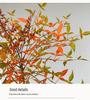 Artificial Nandina Domestica Green Plant: New Chinese Style Decorative Potted Shrub for Home or Hotel