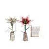 Wacocetoy Cross-Border Lily Puzzle 3D Wooden Toy 2-In-1 Set Diy Coloring Handmade Puzzle