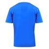 Puma Teamwear Puma Teamgoal Jersey
