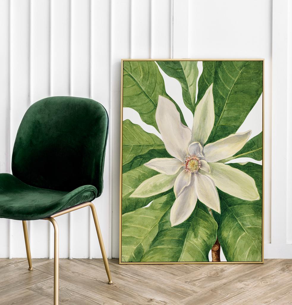 Poster Composition Flowers Mary Vaux