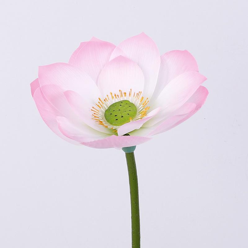 Explosive simulation 3D lotus plant lotus leaf false lotus pod ornament pool photography prop