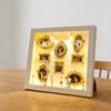 DIY Mini Museum Box with Small Golden Frames Figurines Lamps Photo Frame Shadow Box Family Memory Display Case Home Decoration