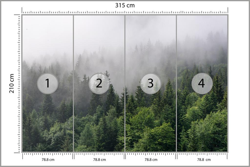 Photomural Trees In The Mist Self-Adhesive Mural 315x210