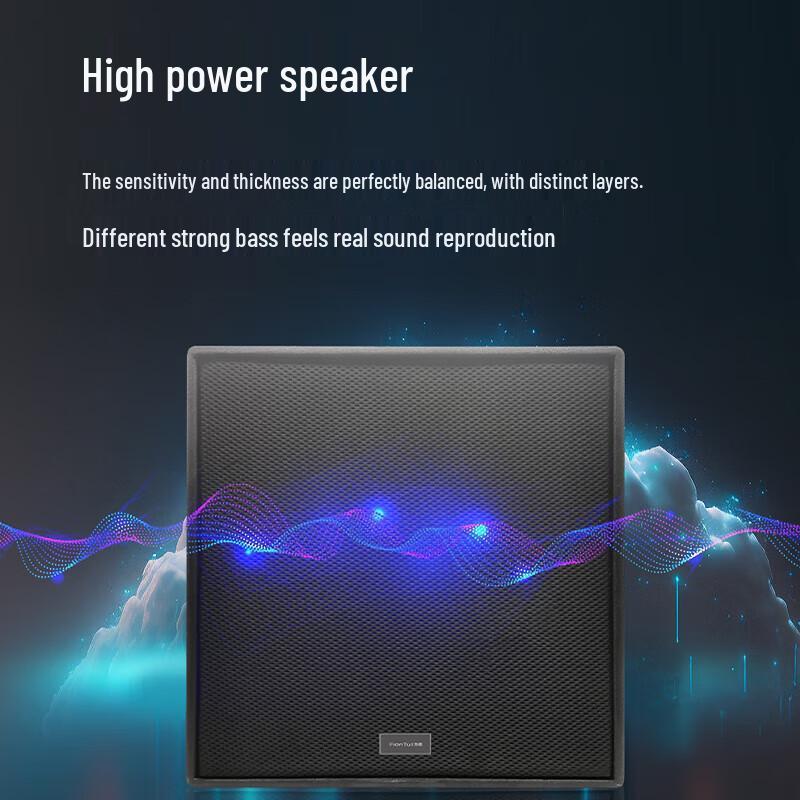 FionTu Professional Conference Subwoofer (CN version)