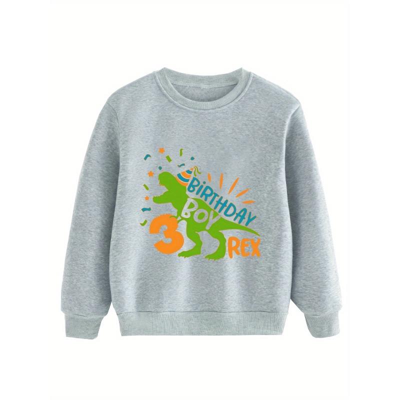 Kids Sweatshirt Registered Base Dinosaur 3rd Birthday Print -Lined Warm Boys' Round Neck Long Sleeve Top, Fashion Print Pattern Children's