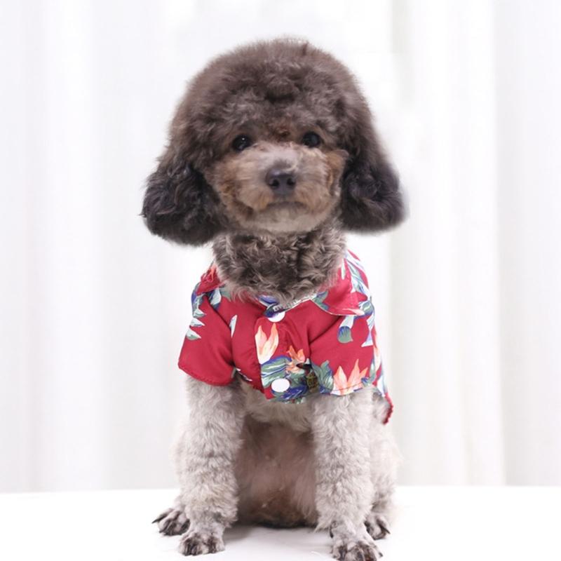 Lovely Puppy Beach Shirt Shirt T-shirt Shirt Pineapple Beach Outfit Shirt Costume Pet Outfit Party