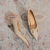2216-68 French Shallow Mouth Pointed Kitten Heel Single Shoes Women's Spring and Autumn 2025 New Work Professional High Heels