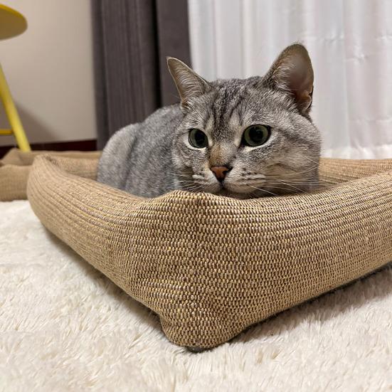 Jute Cat Bed 2-in-1 Cat Bed And Scratching Pad Breathable Pet Lounger Bed with Raised Edges Anti-Slip Bottom for Cats Small Dogs All Seasons