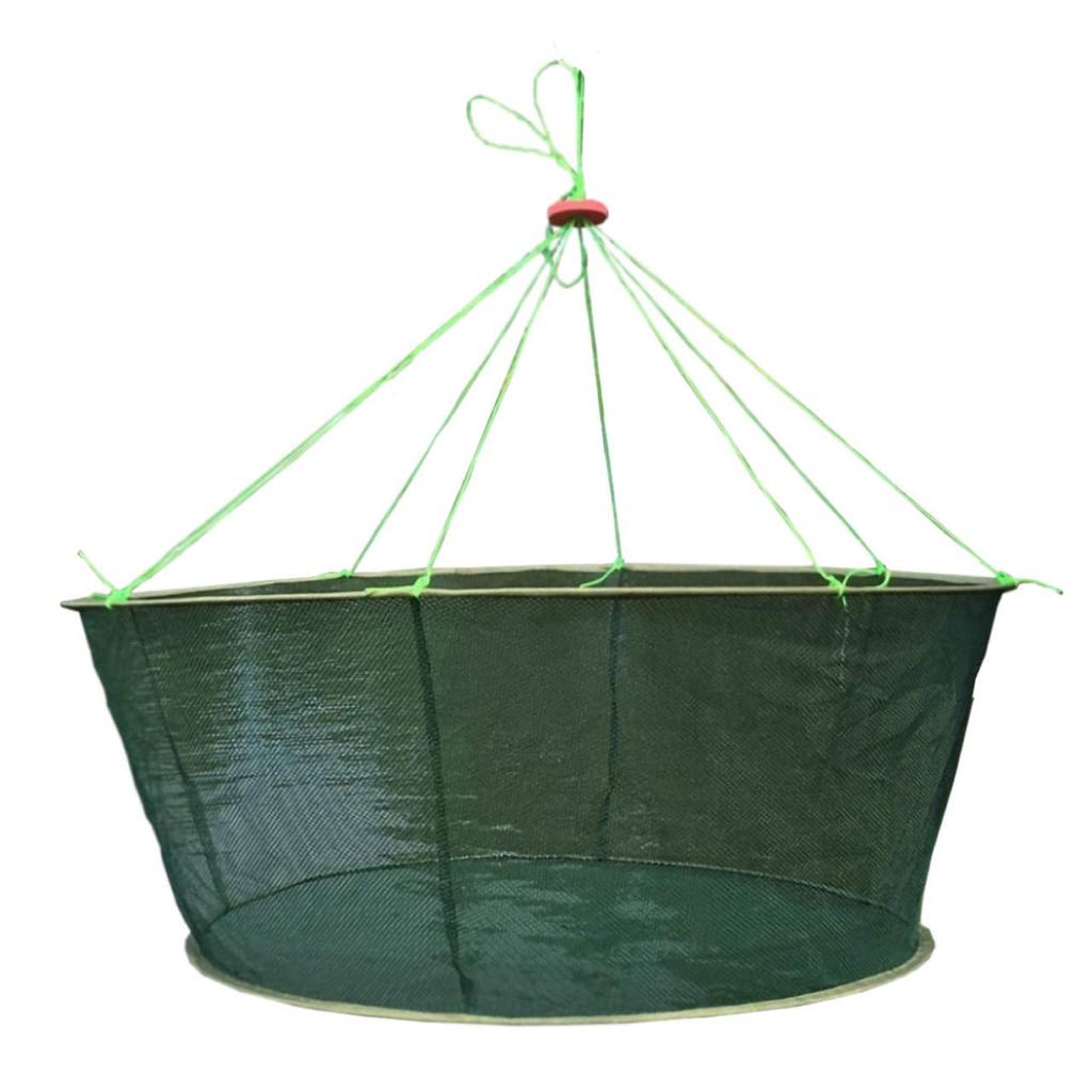 Felimoa Fishing Fish Fish Catching Small Fish Fishing Rig, Scoop, Net, Net,