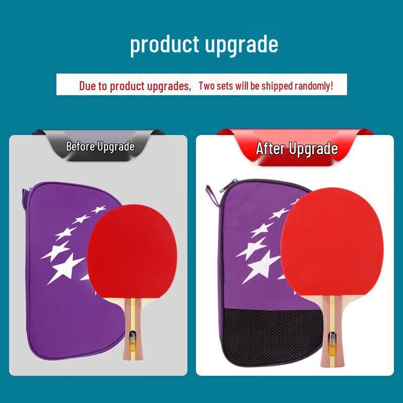 DHS 2-Star Table Tennis Racket