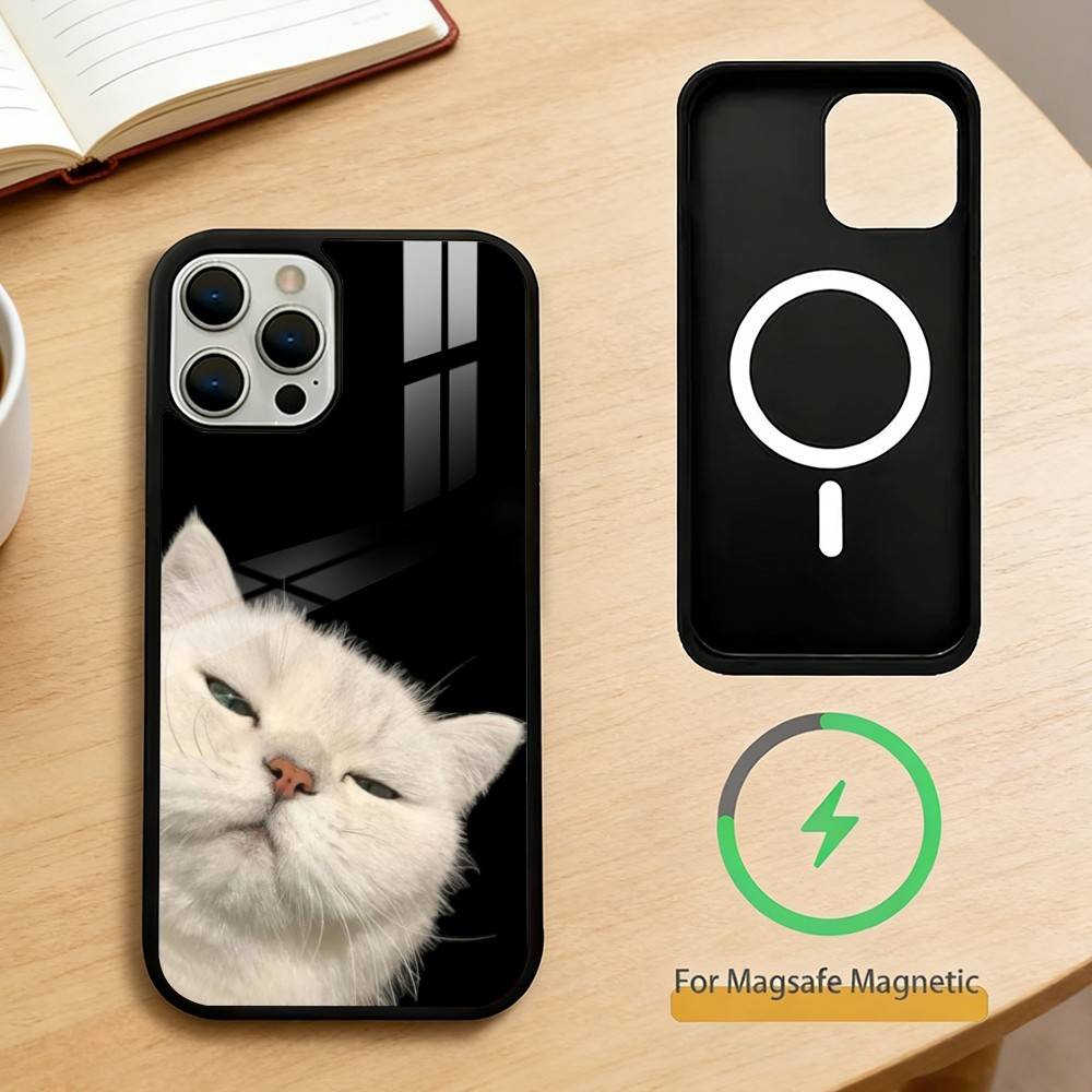 Cool cat cute  Phone Case For iPhone 14,16,15,13,17,12,Plus,Pro,Max Magnetic For Magsafe Frosted Cover iPhone17Air