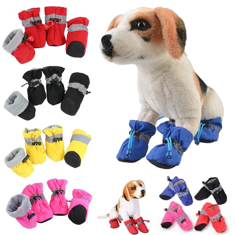 dog shoes socks